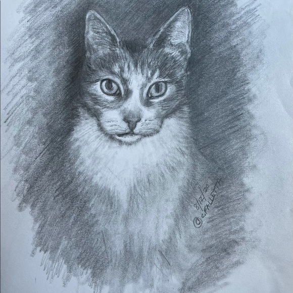 Meet your Posher, Carolyn - Picture 12 of 15